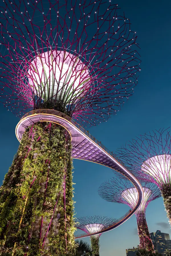 Menemukan Kembali Kebahagiaan Di Gardens By The Bay Singapore